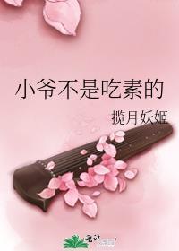 小爷不是吃素的cp是谁